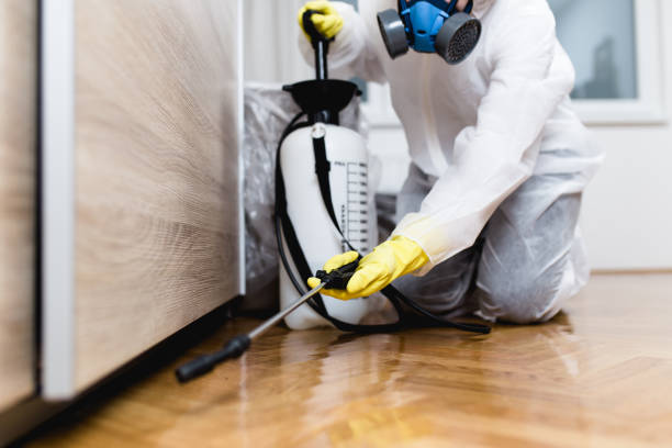 Best Local Pest Control Services  in Tice, FL