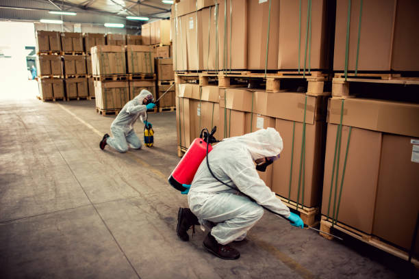 Best Affordable Pest Control Services  in Tice, FL