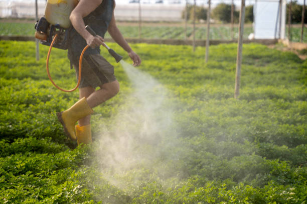 Best Pest Removal Services  in Tice, FL