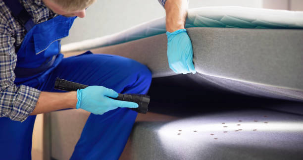 Best Ant Control Services  in Tice, FL