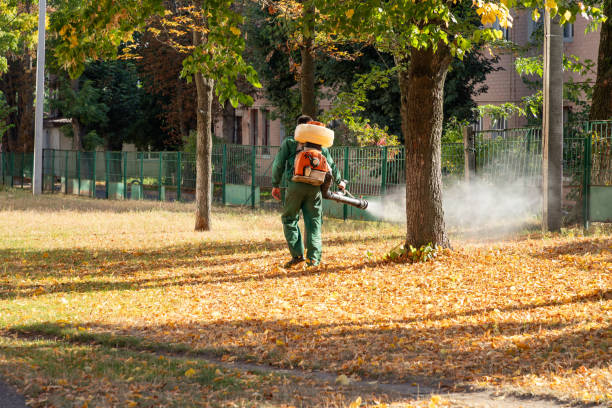 Best Pest Control for Homes  in Tice, FL