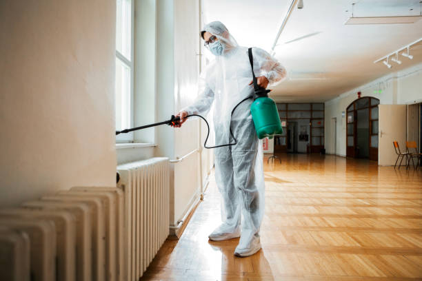Professional Pest Control in Tice, FL
