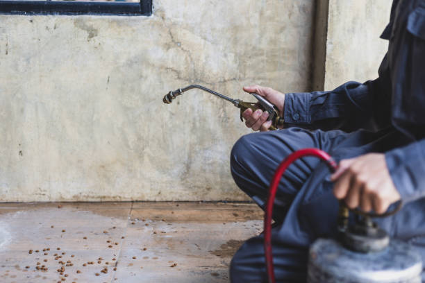 Best Commercial Pest Control Services  in Tice, FL