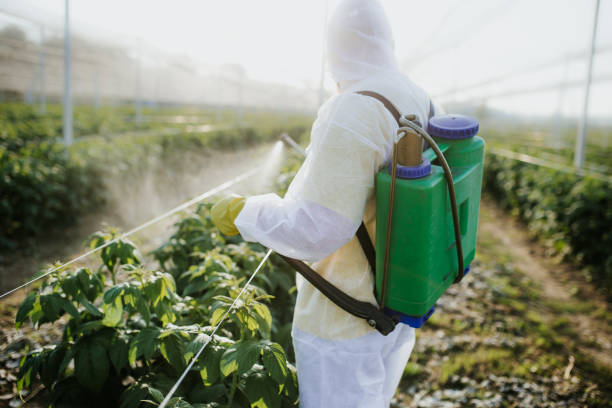 Best Pest Inspection Near Me  in Tice, FL